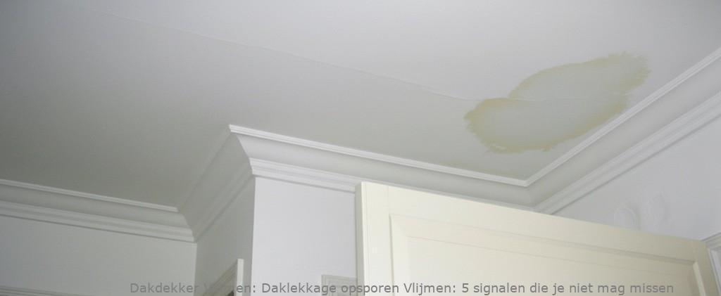 Daklekkage Opsporen Vlijmen 1