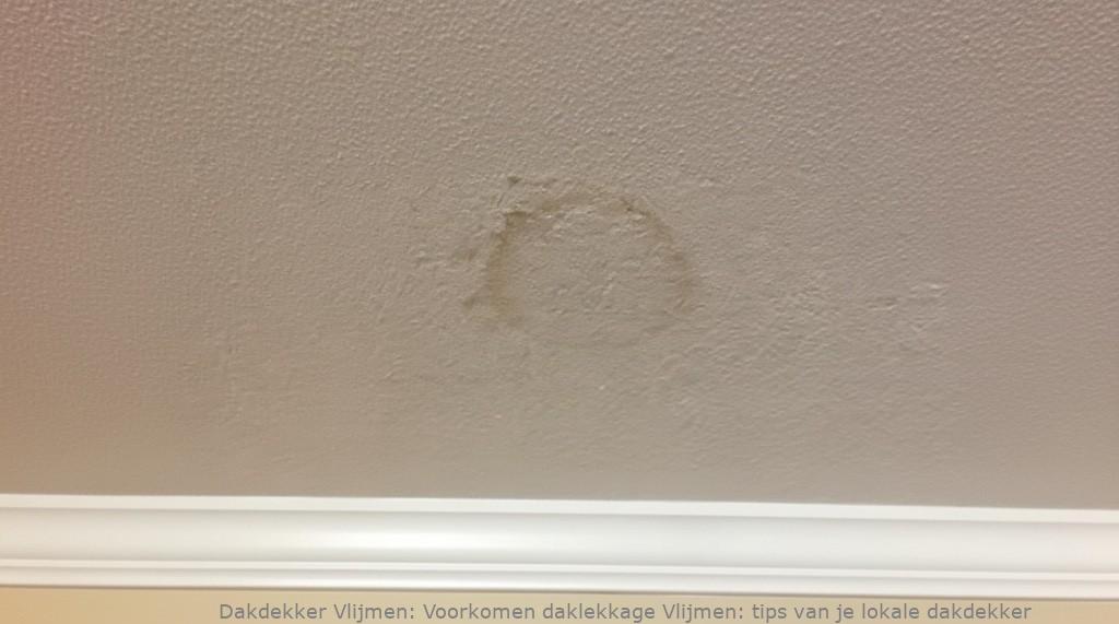 Voorkomen Daklekkage Vlijmen