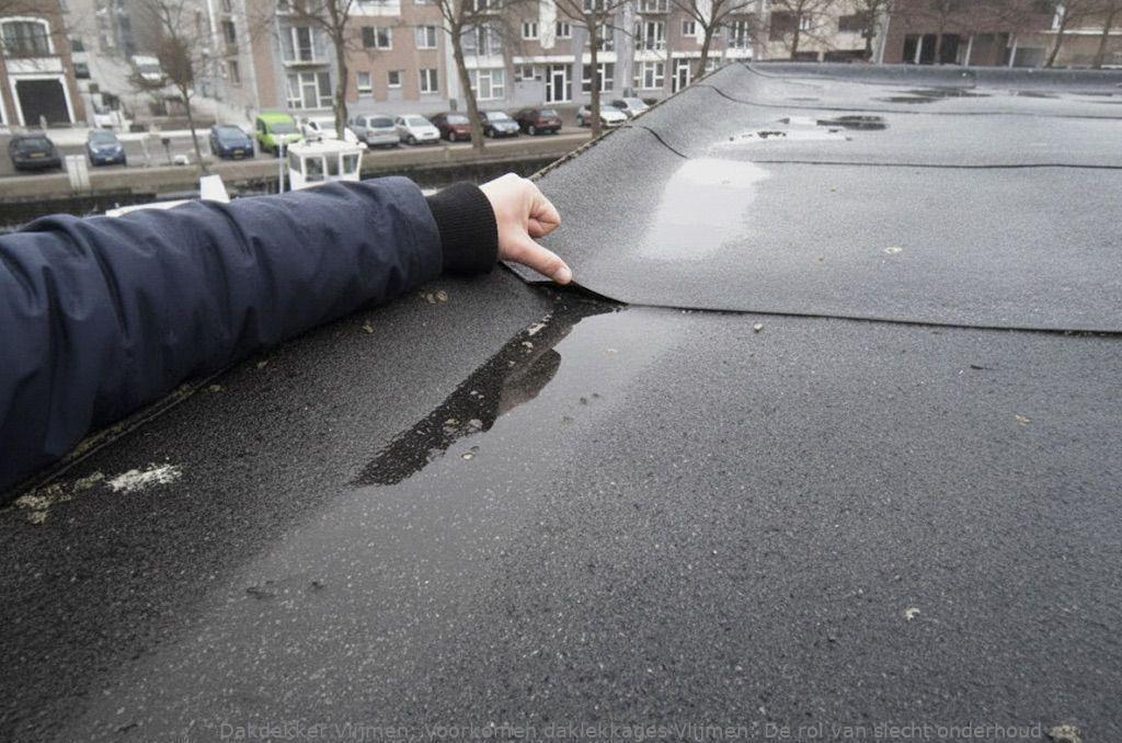 Voorkomen Daklekkages Vlijmen